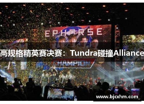 高规格精英赛决赛：Tundra碰撞Alliance